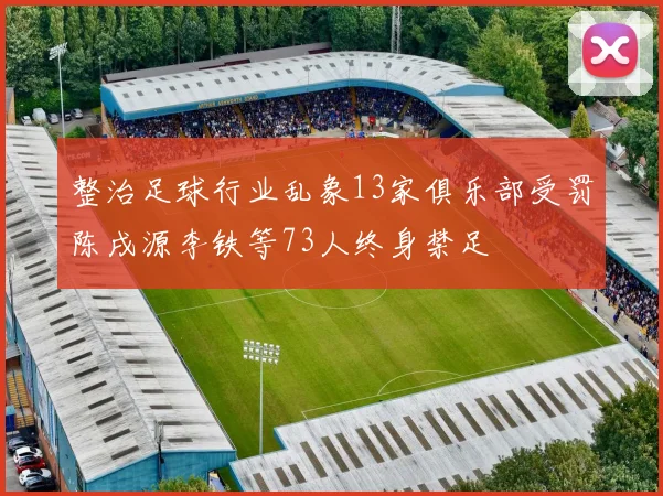 整治足球行业乱象13家俱乐部受罚陈戌源李铁等73人终身禁足