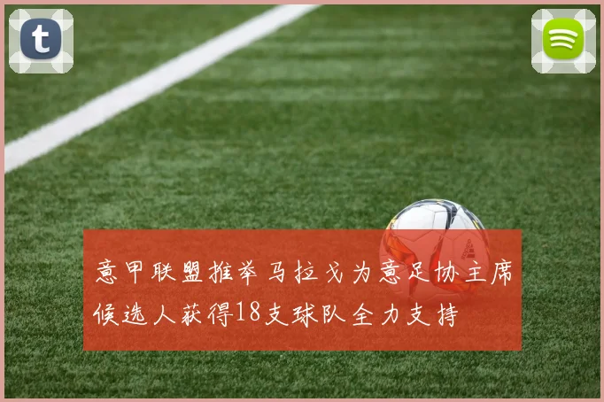 意甲联盟推举马拉戈为意足协主席候选人获得18支球队全力支持